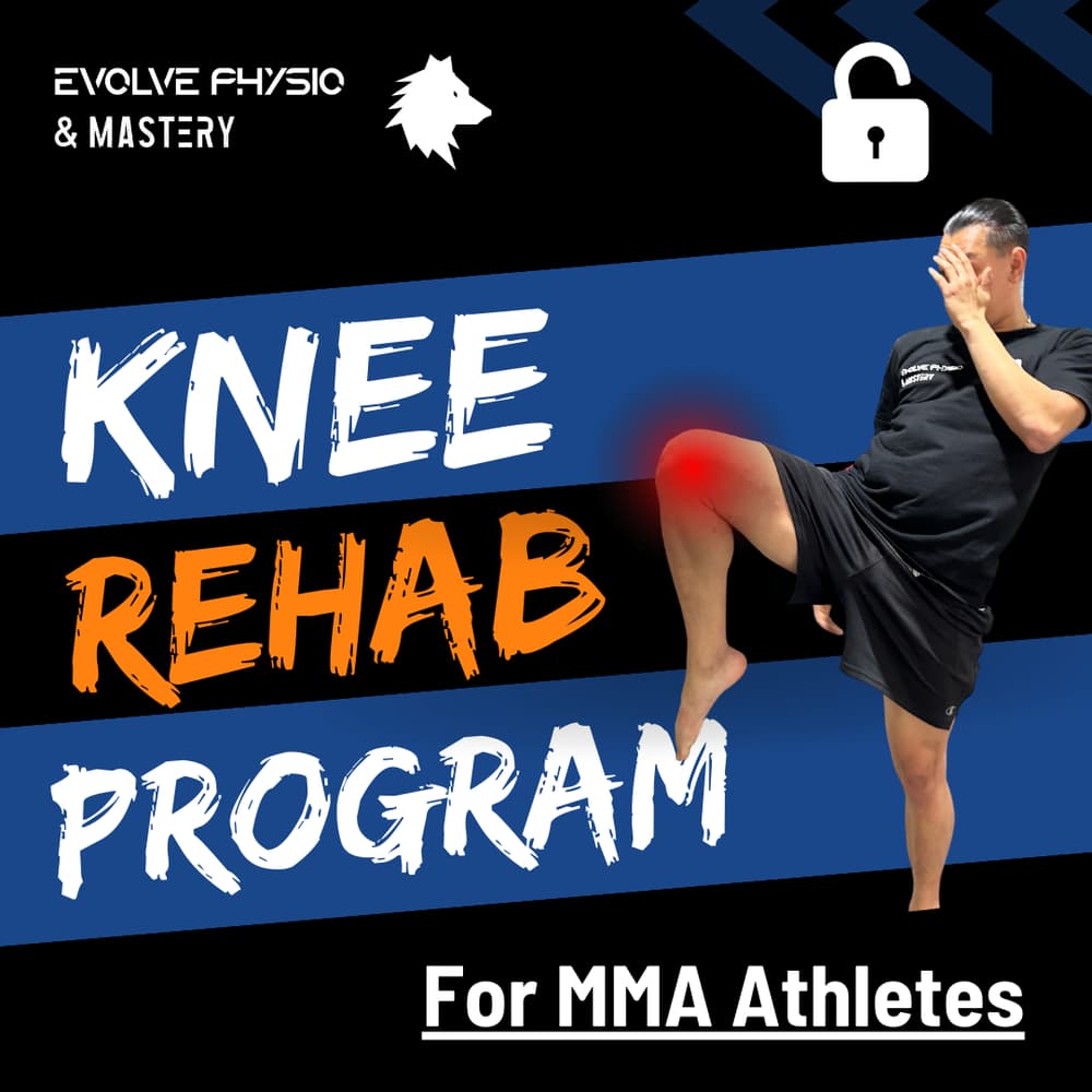 The Knee Pain Mastery Guide
